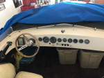 20 ft Spectra Daycruiser