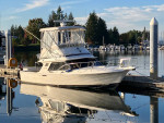 1989 Blackfin 29’ Flybridge
