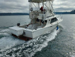 1989 Blackfin 29’ Flybridge