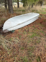 12ft Aluminum Boat and Electric Motor