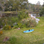 Kayak for sale