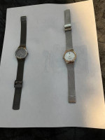 Ladies Skagen Watches