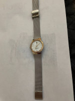 Ladies Skagen Watches