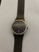 Ladies Skagen Watches