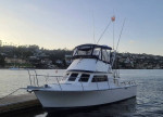 26’ Blackman Billfisher