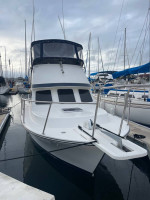 26’ Blackman Billfisher