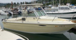 SEASWIRL STRIPER