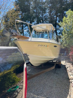 210 SEASWIRL STRIPER