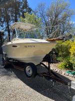 210 SEASWIRL STRIPER
