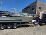 Bertram 26' Moppie