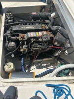 Bertram 26' Moppie