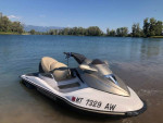 Seadoo x 2 GTX & Spark