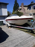 21 ft larson