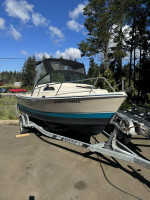 1989 Arima Sea Ranger 17