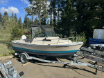 1989 Arima Sea Ranger 17