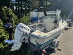 1989 Arima Sea Ranger 17