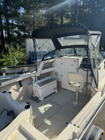 1989 Arima Sea Ranger 17