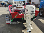 1991 Boston Whaler Montauk 17'