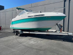 238 vista cabin cruiser