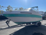 238 vista cabin cruiser