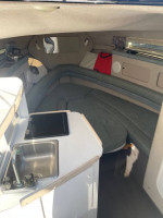 238 vista cabin cruiser
