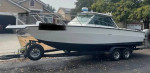 Sea Ray 260 Offshore fishing boat