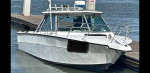 Sea Ray 260 Offshore fishing boat