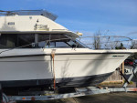 Carver Santa Cruz 2667 with Trailer