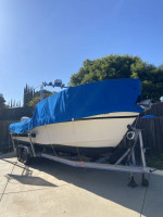 Grady White 24'