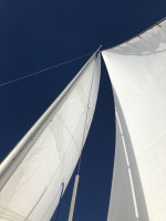 Capri 14.2 Sailboat w/ Buoy