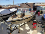 Tracker targa 2006 and 2012 engine