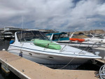 family cruiser