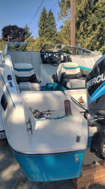 2002 Optimax on 1990 Bayliner Cuddy Cabin Boat
