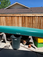 Canoe For Sale
