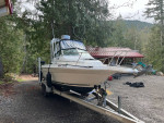 1995 Searay Laguna 21