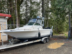 1995 Searay Laguna 21