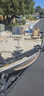 1986 SEA NYMPH