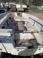 Free 17 ft boat