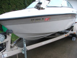 2007 20' Reinell Fish and Ski Bowrider Boat