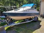 19 Bayliiner and Galv. E/Z loadTrailer