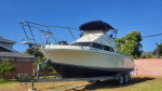 SKPJACK 261 FLYBRIDGE