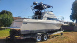 SKIPJACK 261 FLYBRIDJE