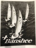 Sailboat - Banshee Performance Dinghy
