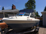 Campion boat