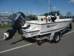 1988 Questar 19', 115hp Yamaha