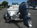 1988 Questar 19', 115hp Yamaha