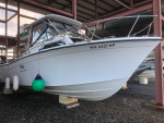 Grady White 25’ Sailfish