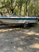 17 ft cruiser rally boat