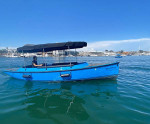 Fantail 217