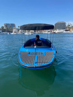 Fantail 217